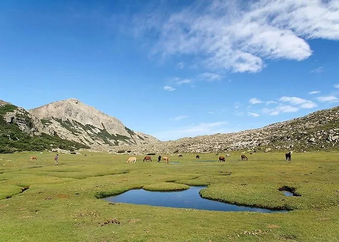 La Prairie 别墅 维琪奥港